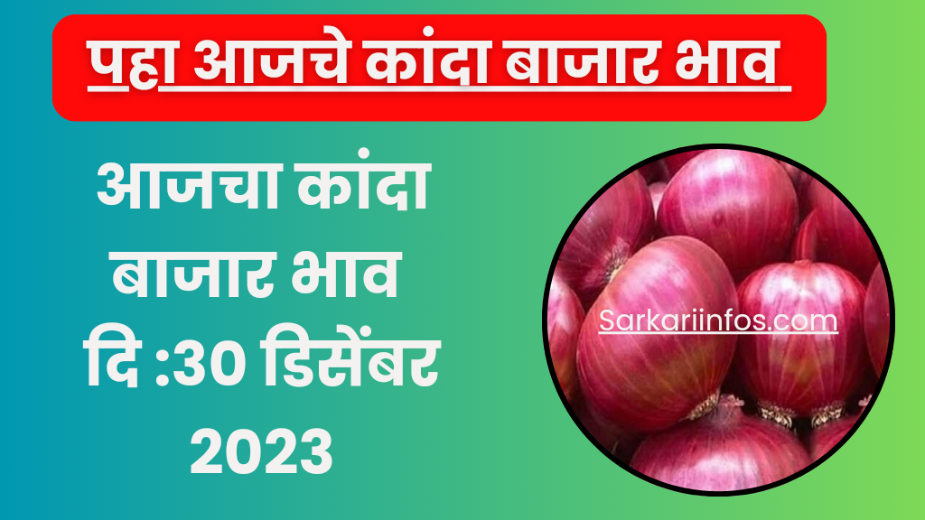 Onion Price Today 30 December 2023